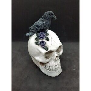 Skull Head With Raven Crow Skull Gothic Mystical